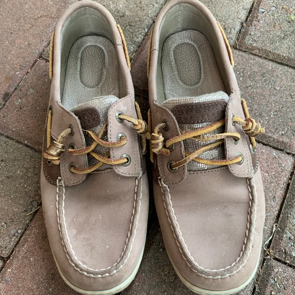 Sperry Top-Sider Algelfish shoe. Size womens 8.5 - Picture 1 of 8